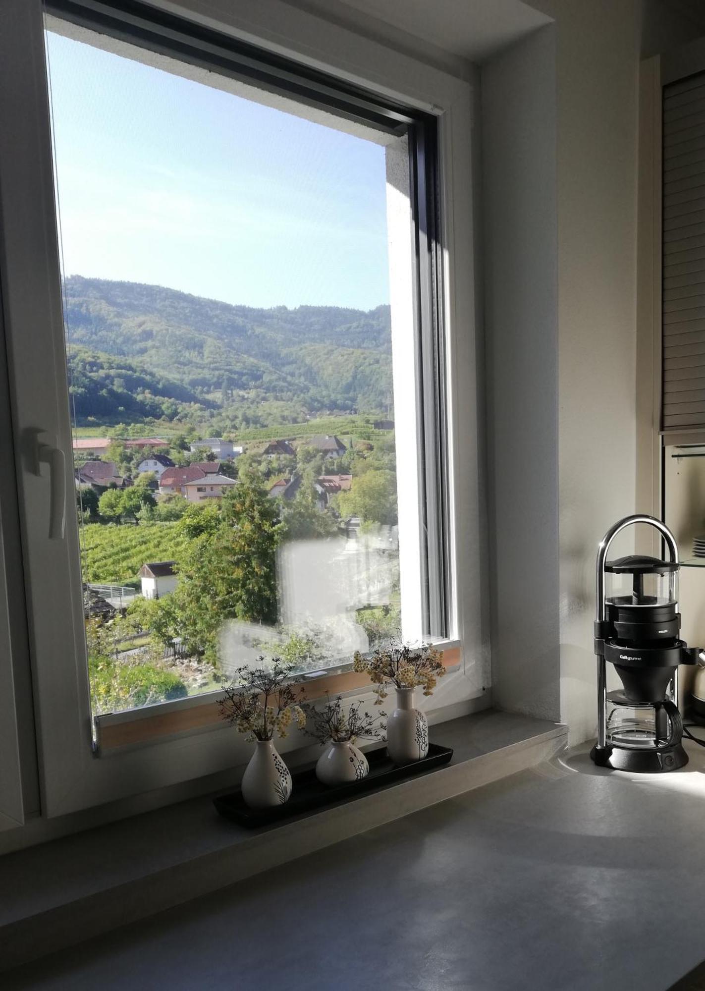 Ferienhaus Johanna Spitz an der Donau Ngoại thất bức ảnh